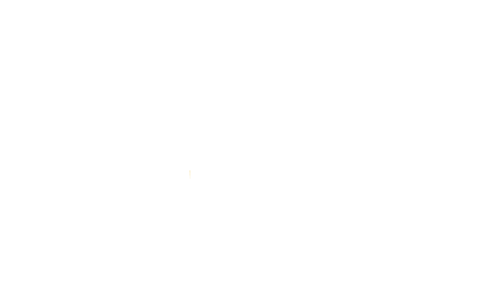 Virginia General Assembly